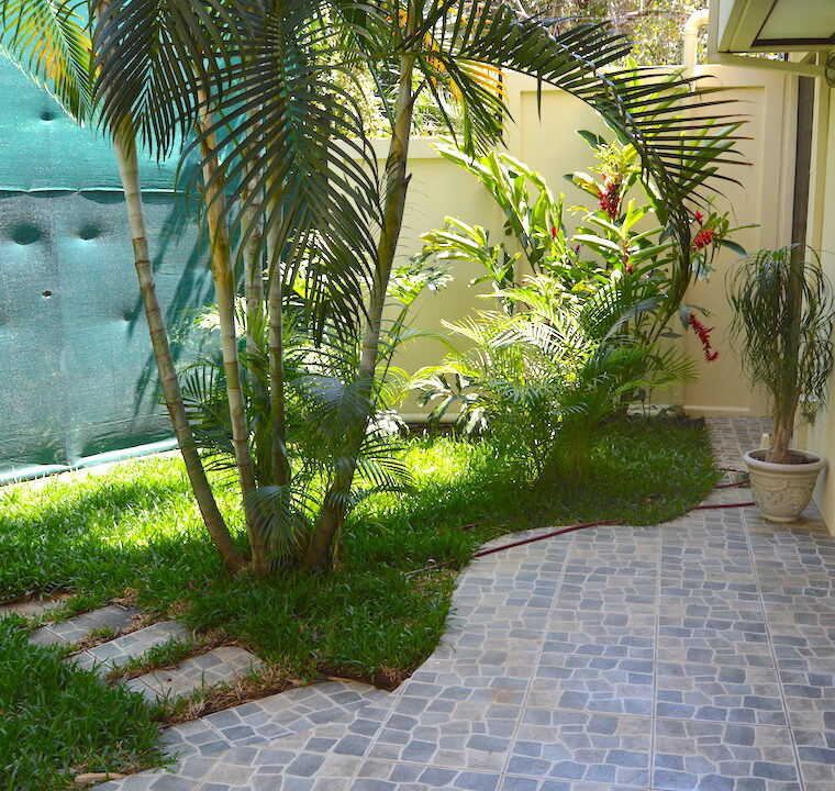Archivo 4339_28