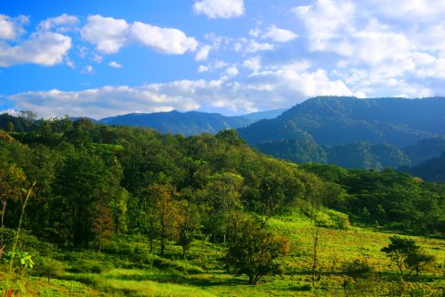 Villas Dic 20 2007 062