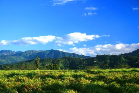 Villas Dic 20 2007 068