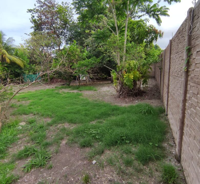 Archivo 4673_29