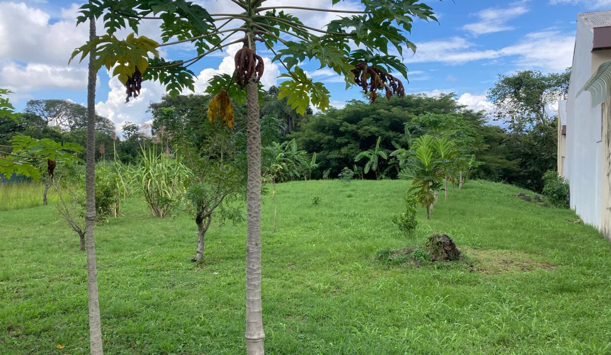 PHOTO-2023-11-15-18-13-25