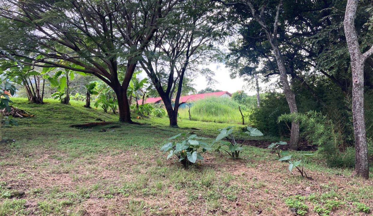 PHOTO-2023-11-15-18-13-26 4