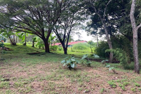 PHOTO-2023-11-15-18-13-26 4