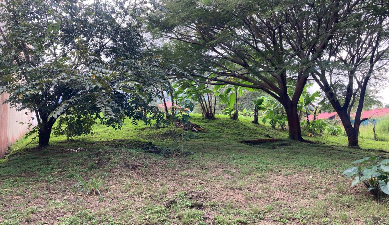 PHOTO-2023-11-15-18-13-27