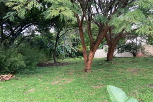 PHOTO-2023-11-15-18-13-28 2