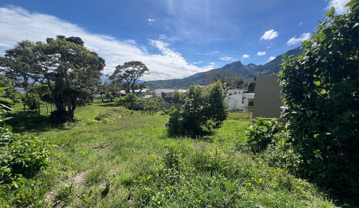 WhatsApp Image 2025-10-21 at 09.07.15 (1)